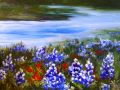 blue bonnets